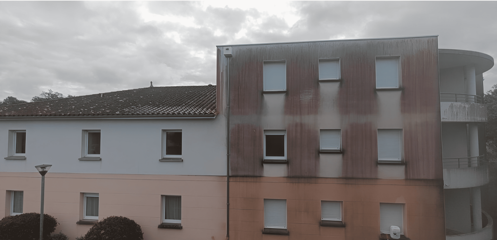 avant (9)